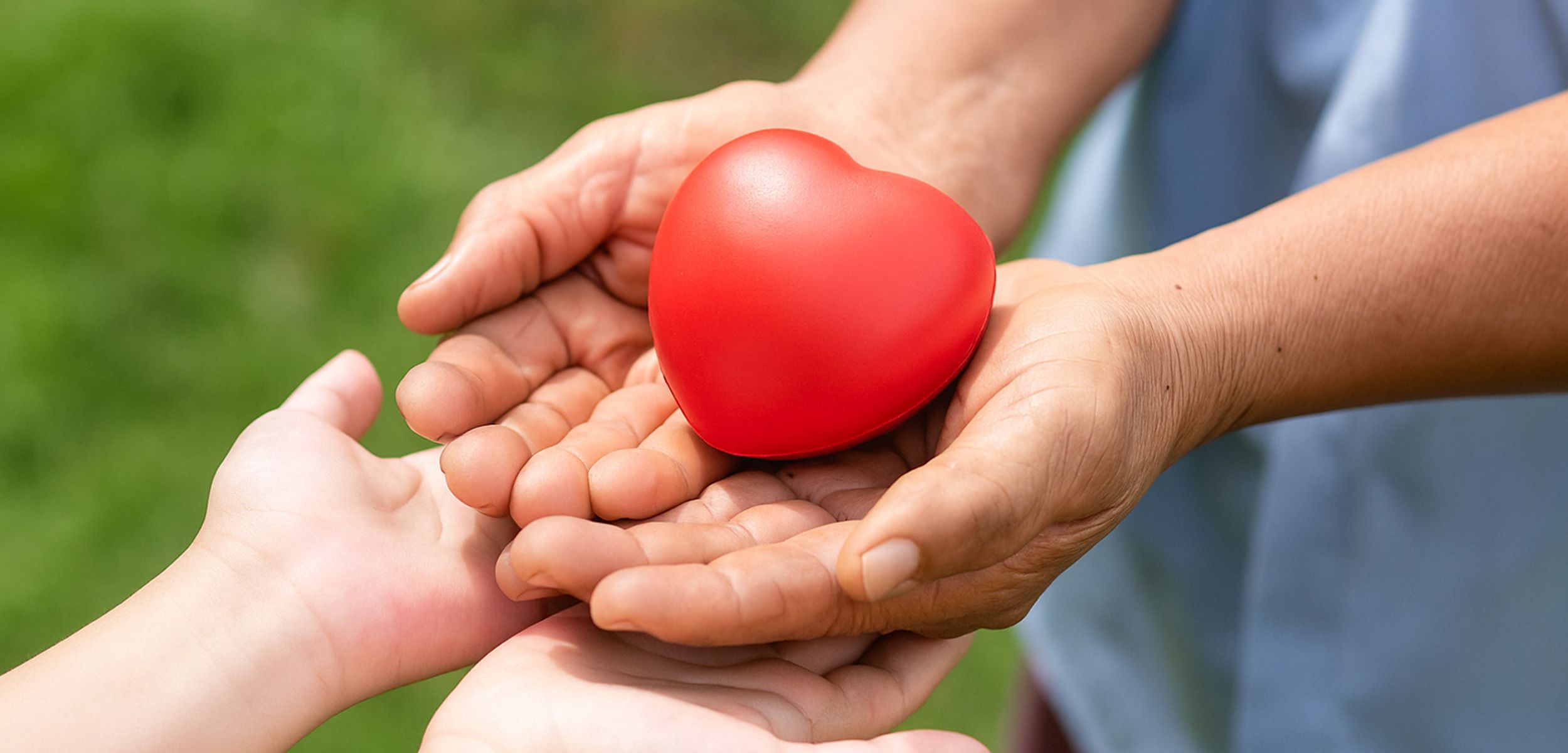 Life Care Movement Society